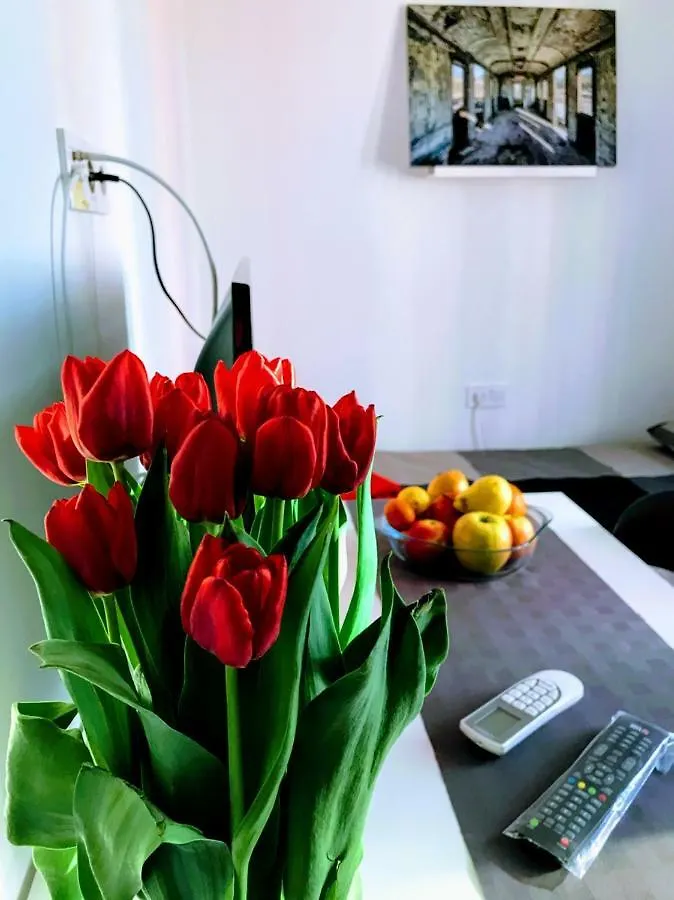 Zpula Center Apartments And Rooms